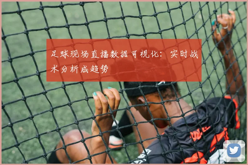 足球现场直播数据可视化：实时战术分析成趋势
