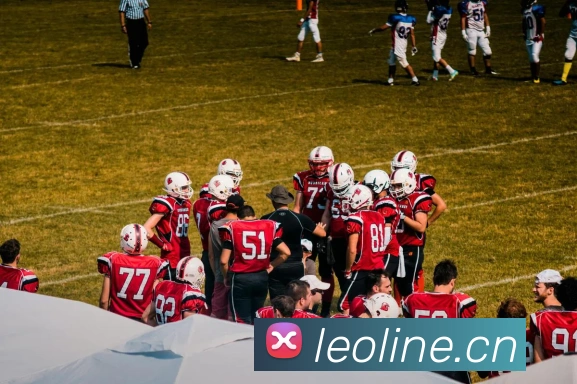 App Interface Preview