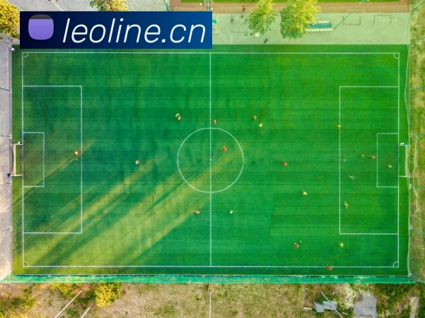 开云网页版在线登录appAPP 封面图